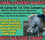 Discover the Magic of Summer Camp with Animals: A Zoo-Like Adventure Kids Won't Forget